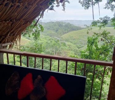 Puerto Triunfo Otro | Finca Alto Bonito