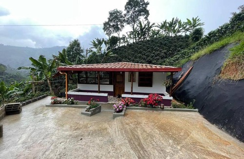 Jardin Casa | Finca de Café La Guadalupe, Casa de Campo Jardín