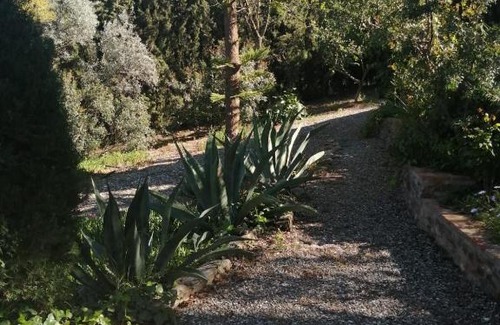 Zalea Casa | Finca Ecológica La Vegueta