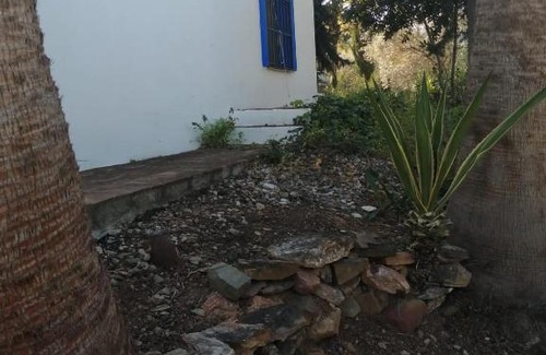 Zalea Casa | Finca Ecológica La Vegueta