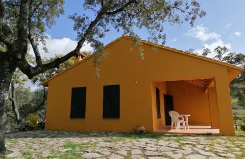Farajan Chalet De Esquí | Finca El Cerro