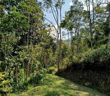 San Luis Apartamento | Finca el Eden