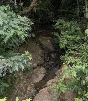 Guaduas Otro | Finca el Okaso
