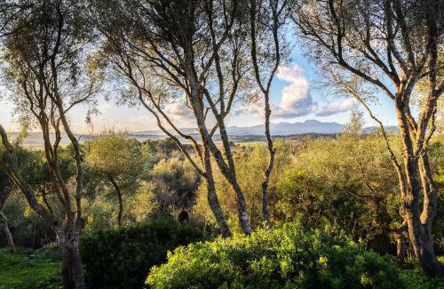 Maria de la Salut Casa | Finca Es Pujol