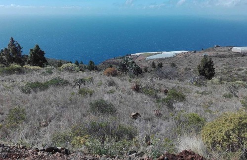 Tijarafe Cabaña | Finca Evamar Tijarafe