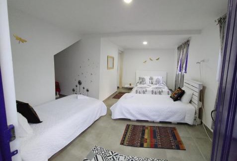 Quimbaya Casa | Finca Hostal La Esperanza