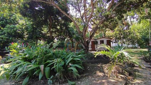 Santa Fe de Antioquia Hotel | Finca Hotel La Estancia