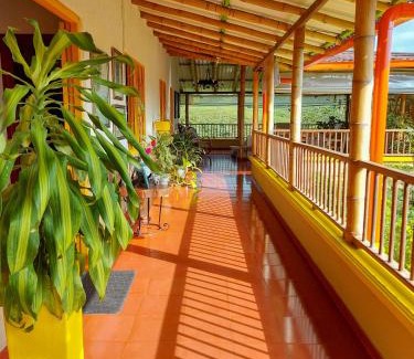 La Estrella Cabina | FINCA HOTEL DON JULIO