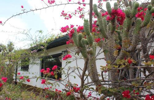 Villa de Leyva Casa | Finca La Buganvilia