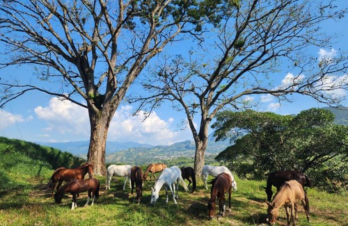 Venecia Casa | Finca la India Cerro Tusa