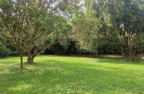 Alegrias Cabaña | FINCA LLUVIARES Reserva Natural, un espacio para caminar con el sonido del rio