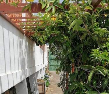 Brena Baja Casa | Finca Los Álamos