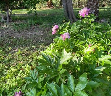 Junin Department Casa | Finca Los Franciscos