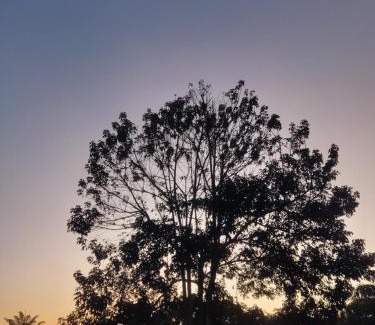 Campoverde Otro | Finca Mardol