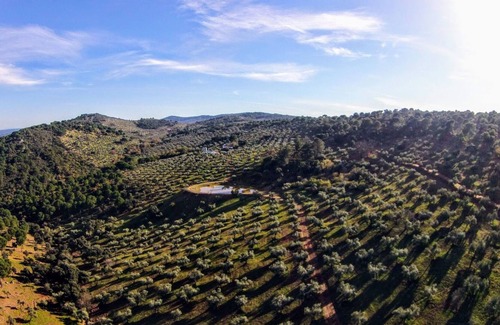 Alcaracejos Villa | FINCA MOLINO DON ZOILO 18 - Magnífica casa de campo con piscina privada y WiFi gratis.