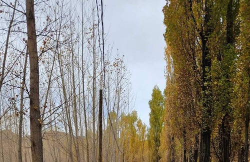 Uspallata Casa | Finca MUNAL