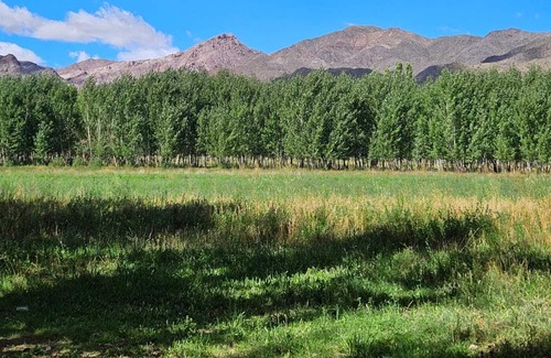 Uspallata Casa | Finca MUNAL