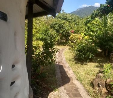 Santa Cruz Cabina | Finca Mystica