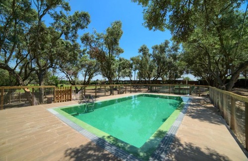 Cascante Casa | Finca Olivar de la Bardena