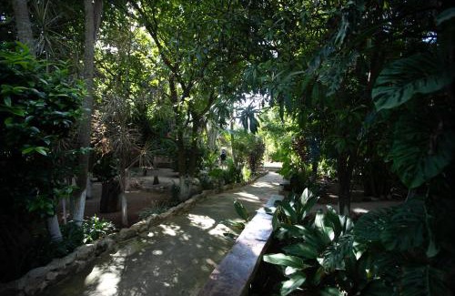Homun Casa | Finca Oz