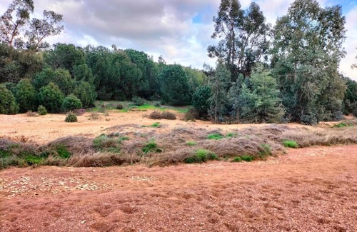 Gibraleon Apartamento | FINCA RIODIEL