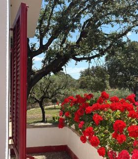 Sencelles Casa | Finca Sa Cova de Mallorca