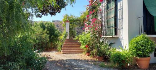 Malaga-Este Casa | Finca Santa Matilde Málaga