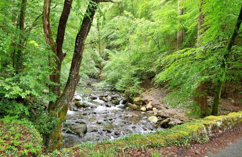 Ganllwyd Casa | Finest Retreats - Hermon Bach