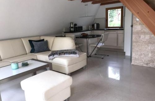 Lenzen Casa | Finnhütte Seeblick Comfortable holiday residence