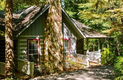 Wears Valley Cabina | ‘Firefly Cove’ - 3 Mi to Parkway & National Park!