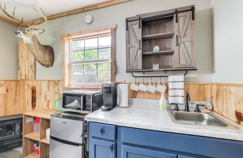 Glace Cabaña | Fish, Hike, Explore: Alleghany Cabin Hideaway