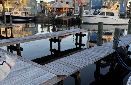 Bayside Park Casa | FISHERMAN'S PARADISE WITH BOAT SLIP AVAILABLE! ACCESS TO ST. ANDREWS BAY !