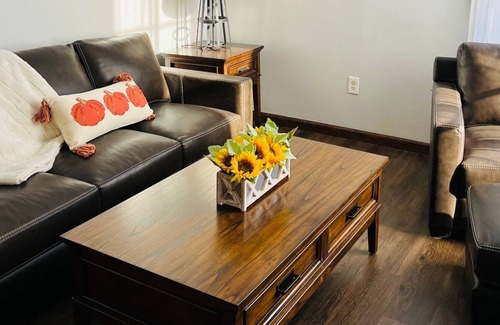 Pulaski Apartamento | Fisherman's paradise, historic apartment located on Salmon River!