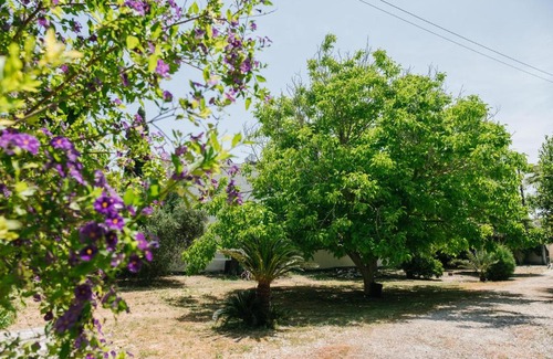 Pano Akourdalia Casa | Five Greeks 4 Bedroom Villa in Paphos