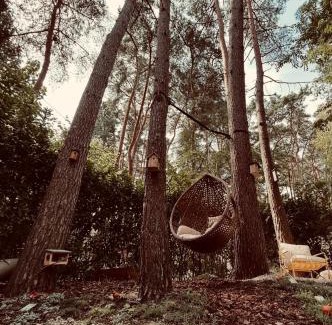 Rekem Casa | Five Trees Forest Home
