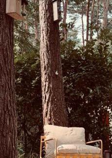 Rekem Casa | Five Trees Forest Home