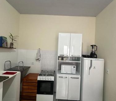 Plano Diretor Sul Casa | Flat Ivy ao lado da Avenida JK