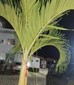 Praia de Jacuma Apartamento | Flat Mar doce lar