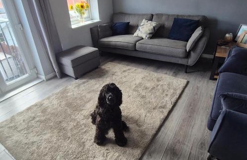 Washington Apartamento | Flat on the Wear