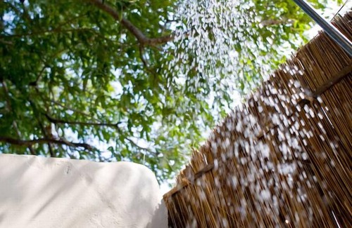 South Luangwa National Park Otro | Flatdogs Camp