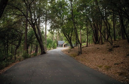 Twain Harte Casa | Flatlanders Paradise | Family-Friendly Forest View