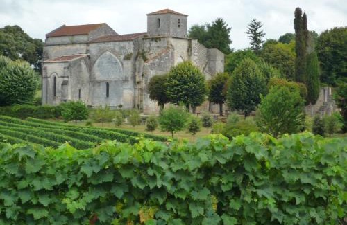 Bouteville Casa | Fleurs de vigne, gîte charentais au grand coeur