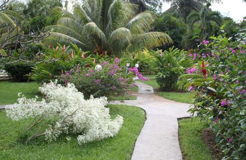 Deshaies Casa | Fleurs des Iles