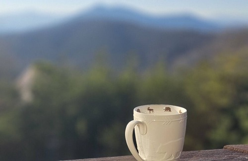 Gatlinburg - Pigeon Forge Cabina | Storyteller Cabin - pozo de fuego, ¡se admiten perros!