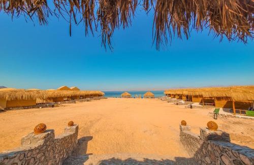 Nuweiba Cabina | Flight Mode Camp