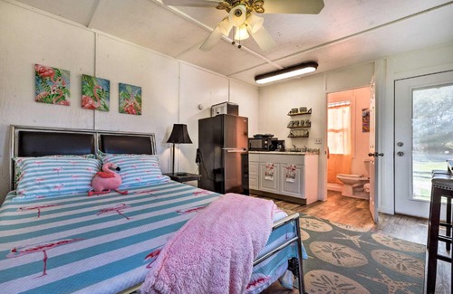 Canyon Lake Apartamento | Flirty Flamingo Studio 1 Mi to Canyon Lake