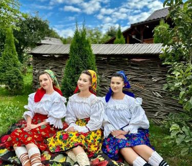 Sugau Casa | Floare de Maramures 1