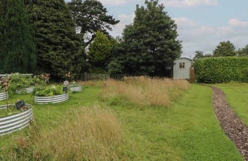 Liskeard Cabaña | Flora's Hut
