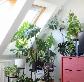 Ferencvaros Apartamento | Floral Bliss Apartment