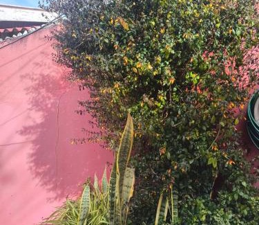 Jardim Andira Casa | Flores da vovó